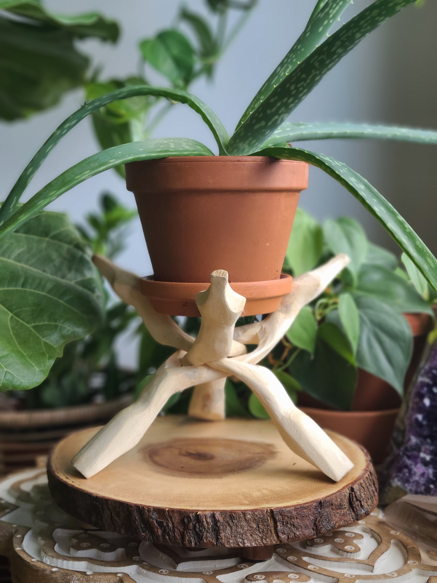 Wooden Crystal/Shell Stands