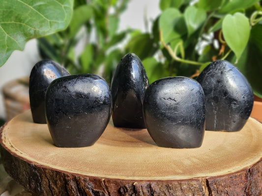 Black Tourmaline Freeforms