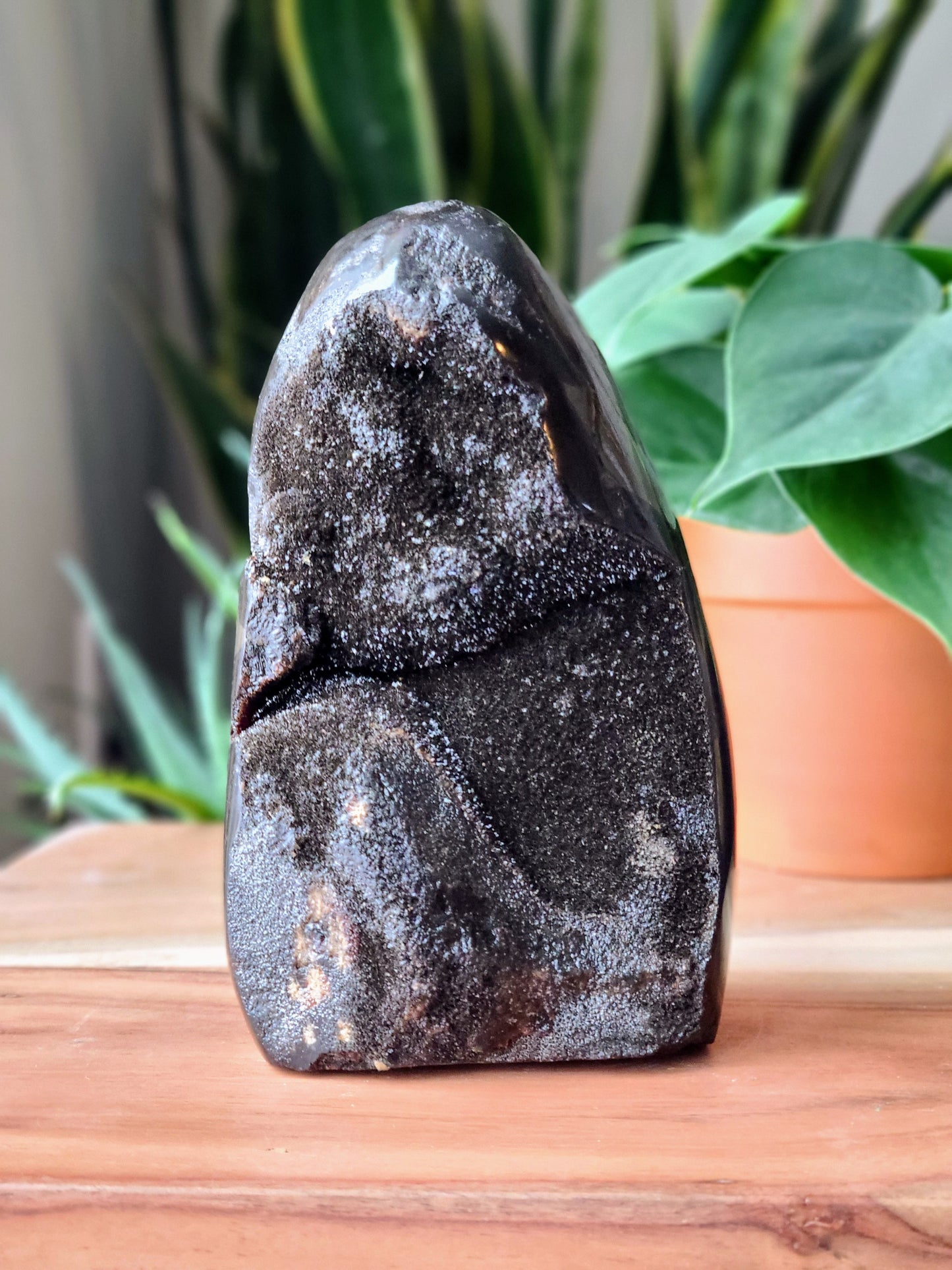 Septarian Dragon Stone Geode