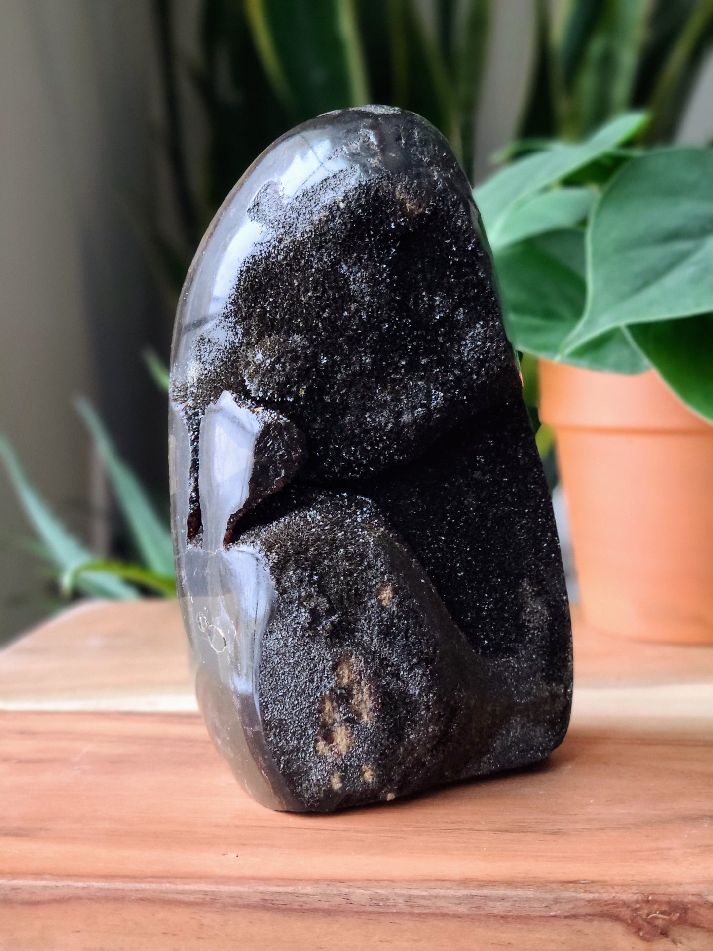 Septarian Dragon Stone Geode