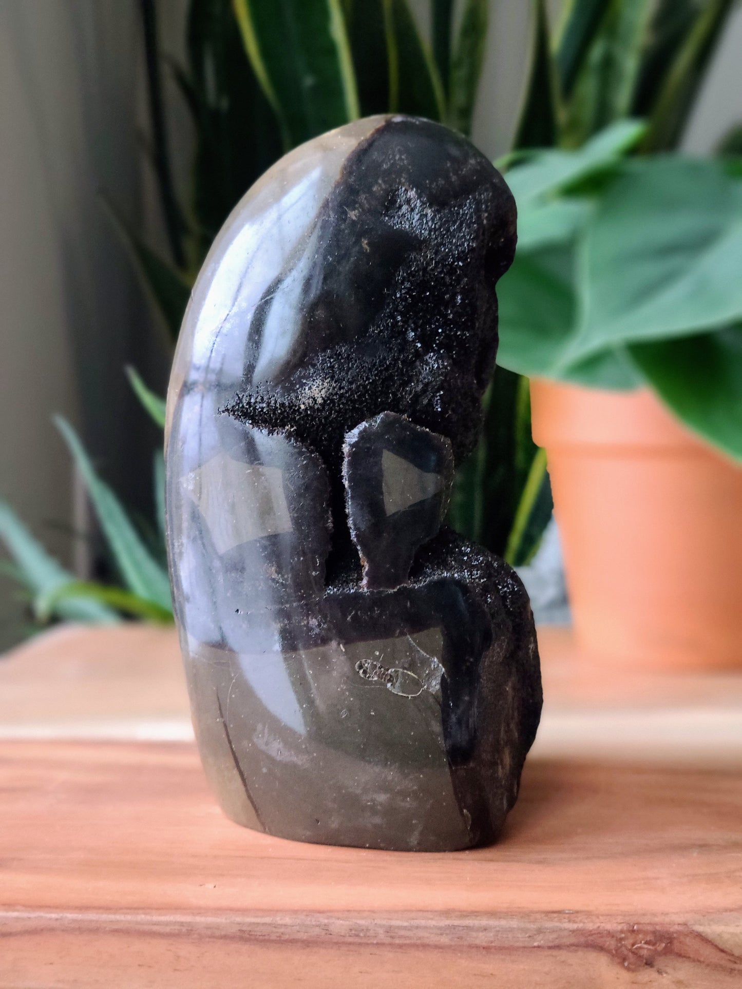 Septarian Dragon Stone Geode