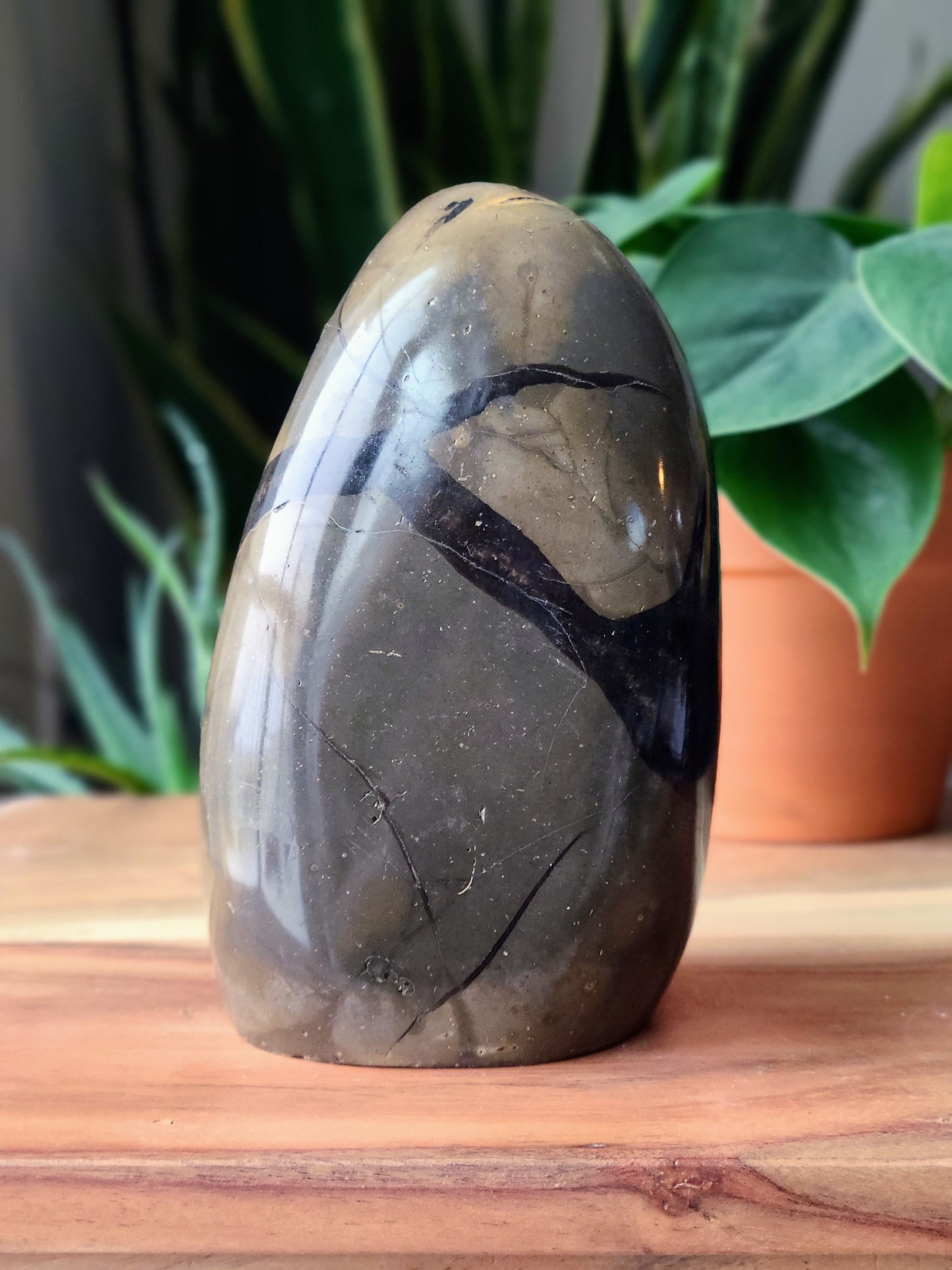 Septarian Dragon Stone Geode