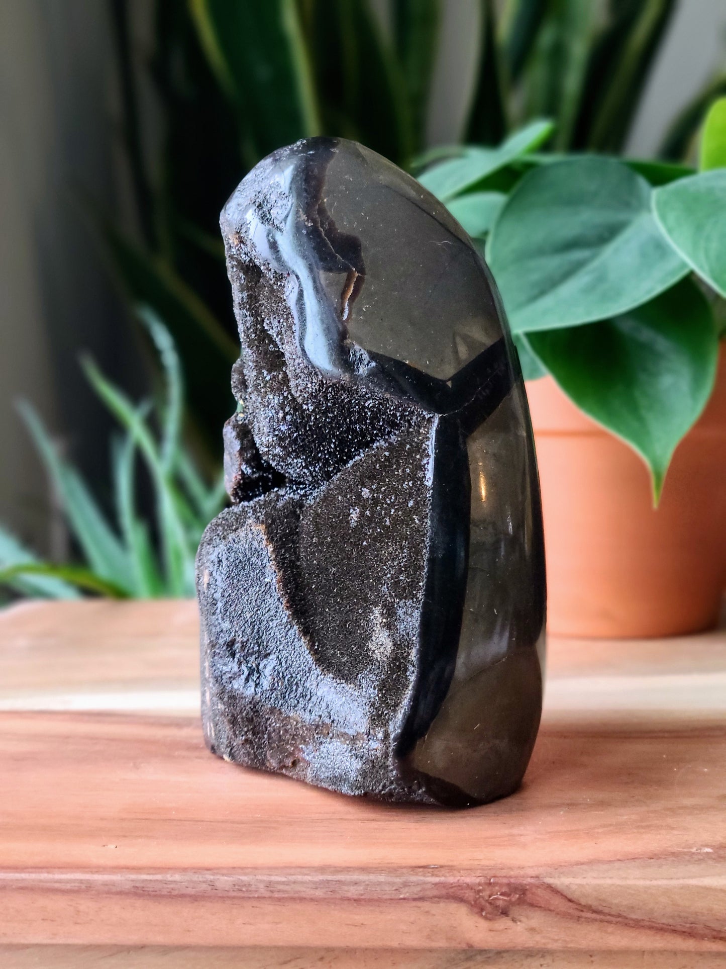 Septarian Dragon Stone Geode