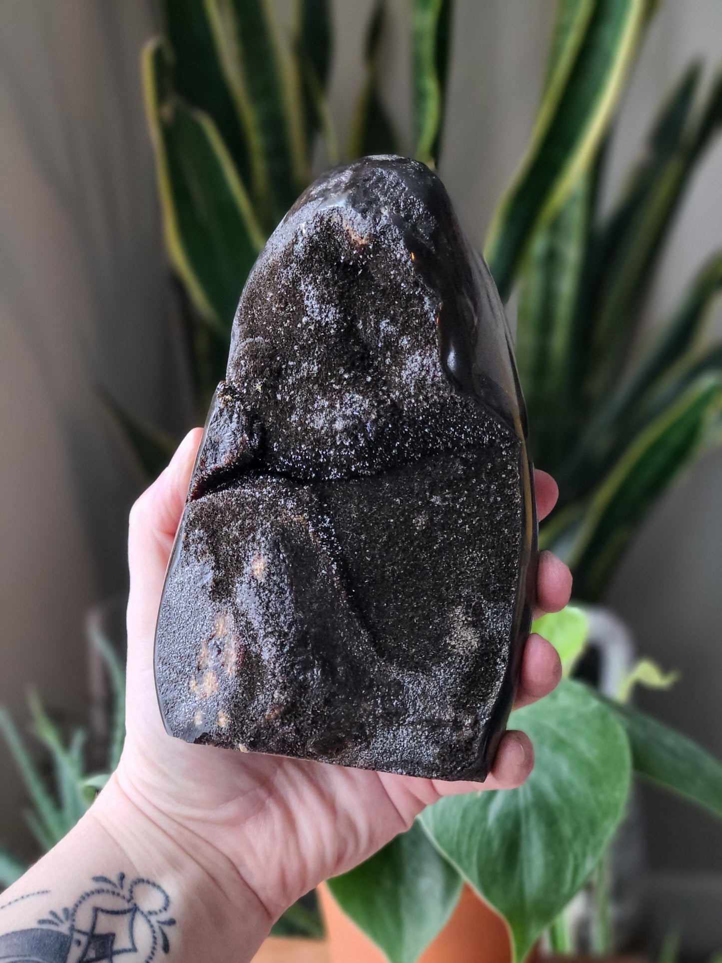 Septarian Dragon Stone Geode