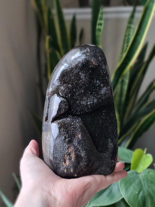 Septarian Dragon Stone Geode