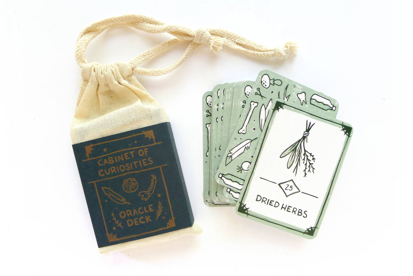 Cabinet of Curiosities Oracle Deck