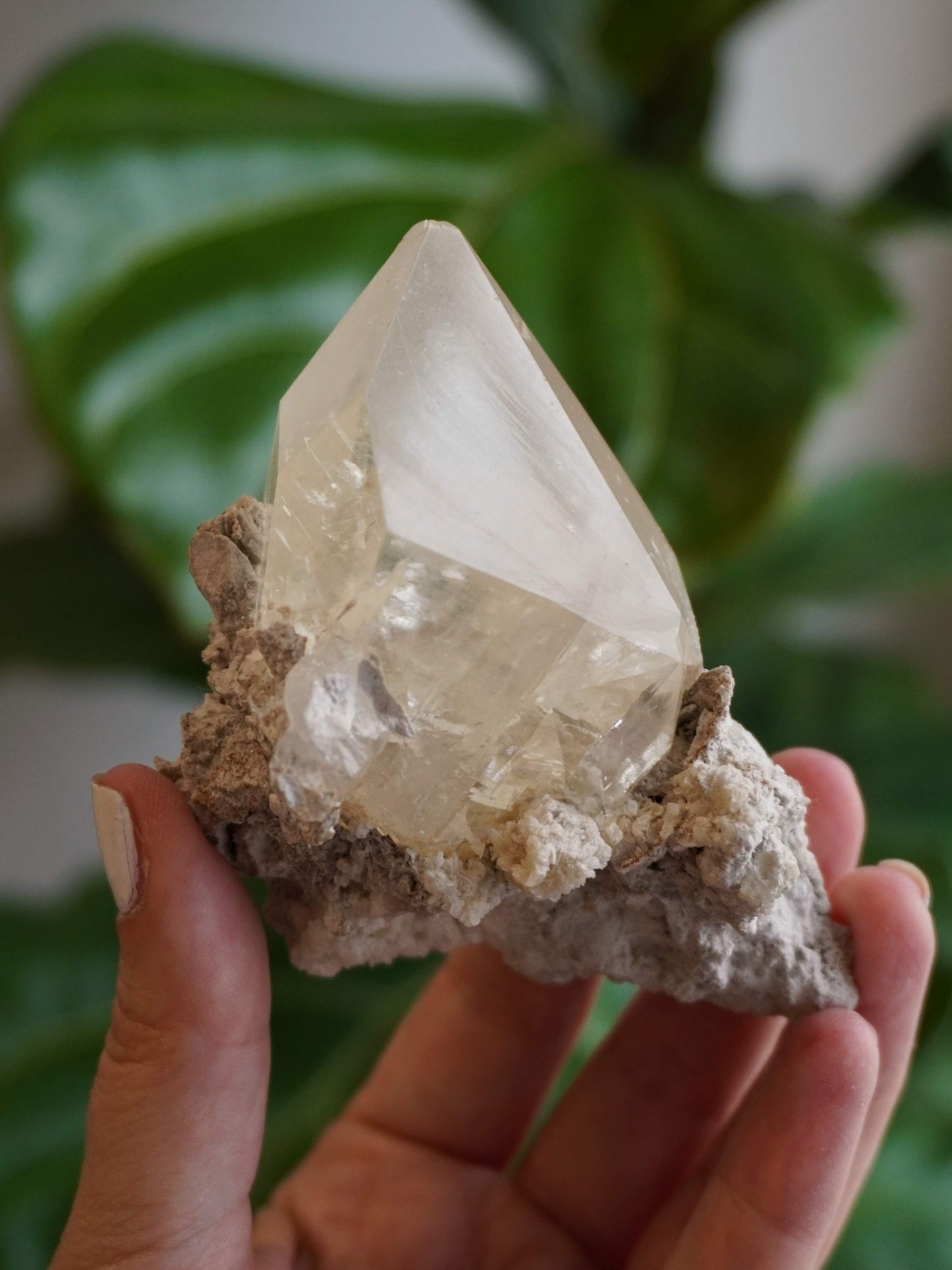 Elmwood Stellar Beam Calcite