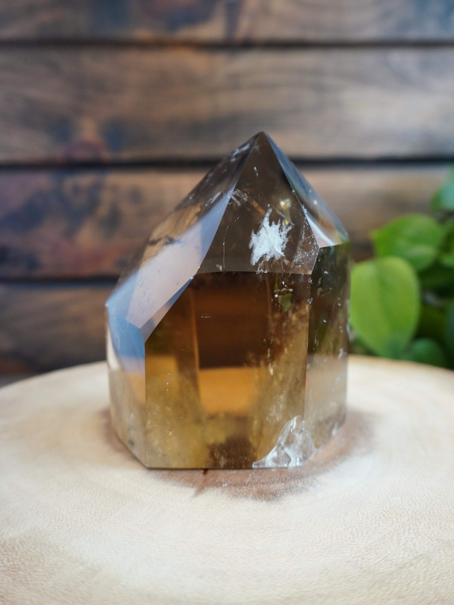 XL Natural Brazilian Citrine