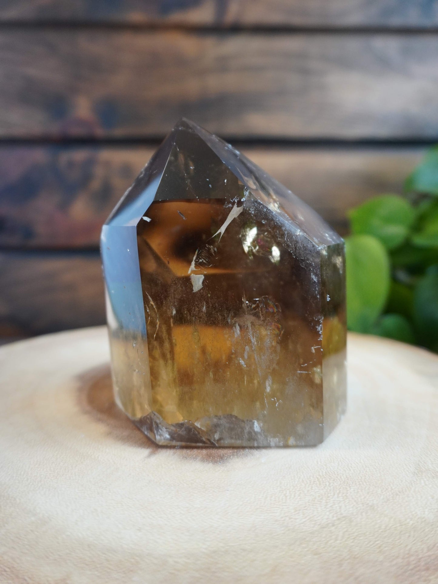 XL Natural Brazilian Citrine