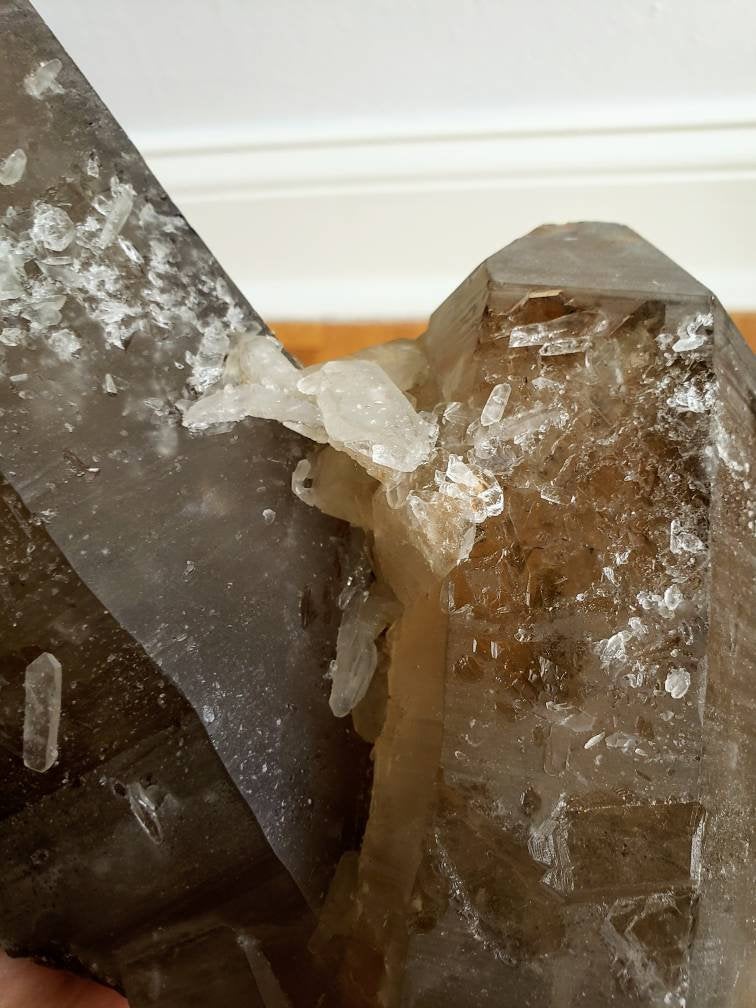 Extra Large Self-Healed Smoky Quartz Points